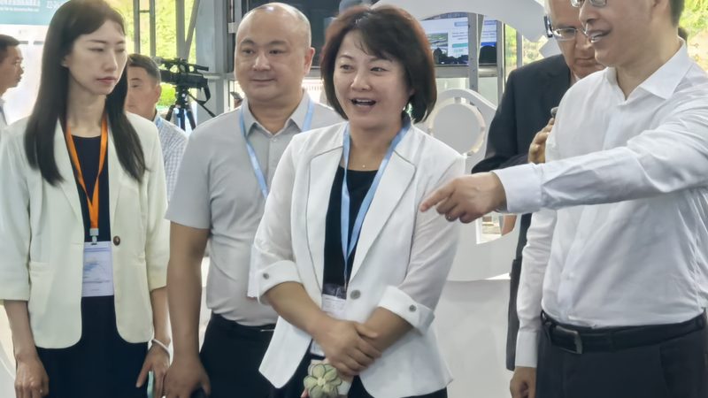 成都汽车大灯总成实体店靠谱指南：如何辨别真伪与品质